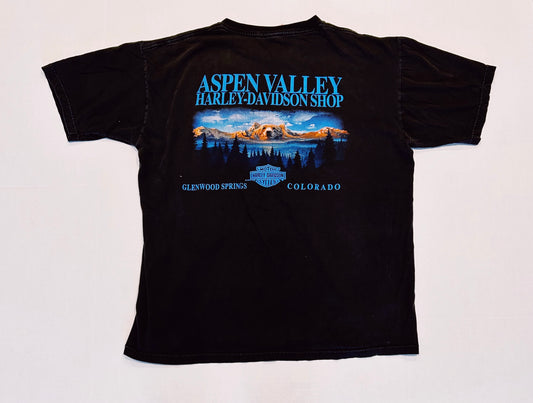 Vintage 2000 HARLEY DAVIDSON Glenwood Springs Colorado Aspen Valley Biker Graphic Tee Size XL